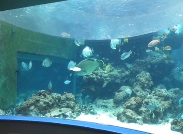 水族馆亚克力工程